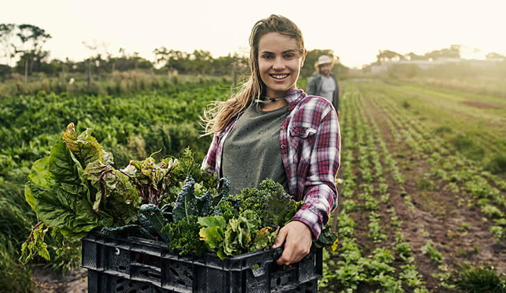 Nachhaltigkeit und Verantwortung